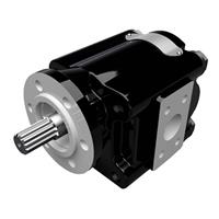 Cast Iron Pumps - PG031 Series